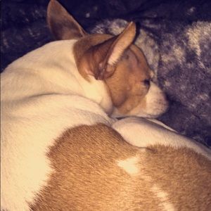 Meet your Posher, Sam